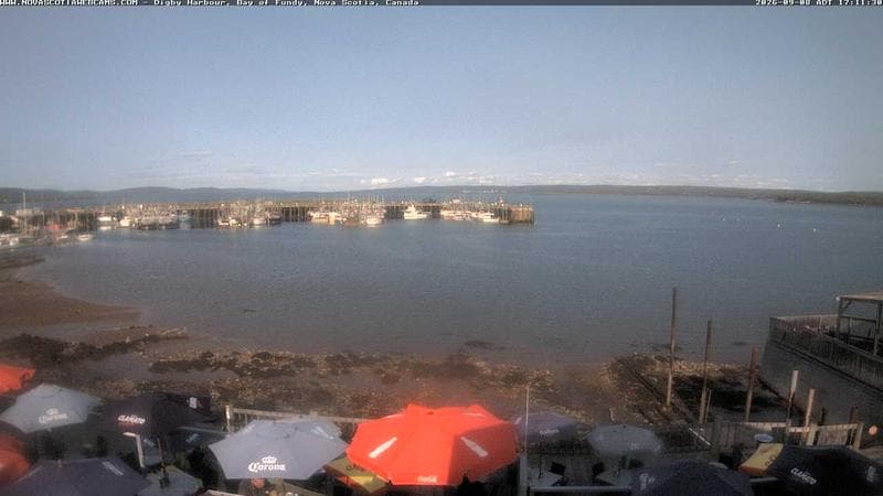 Digby Harbour