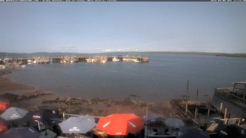 Digby Harbour