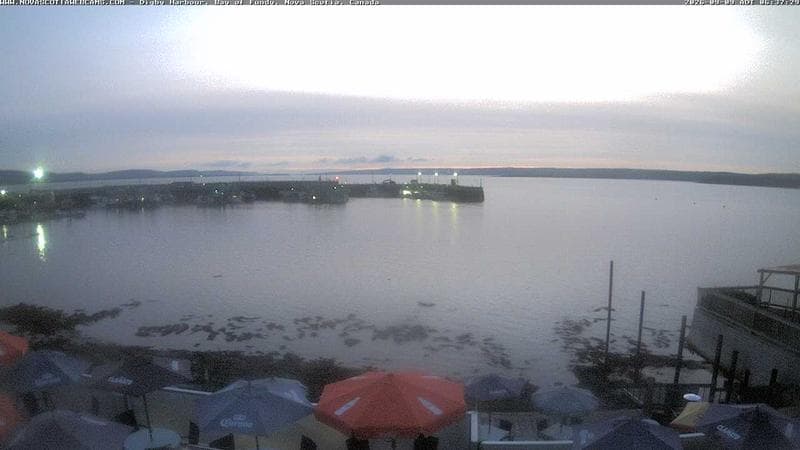 Digby Harbour