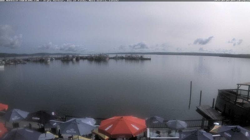 Digby Harbour