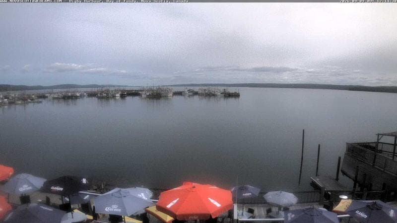 Digby Harbour