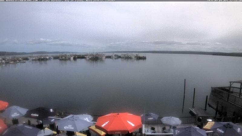 Digby Harbour