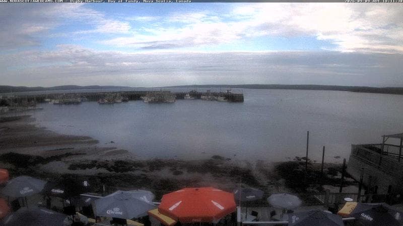 Digby Harbour