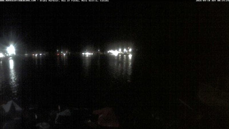 Digby Harbour