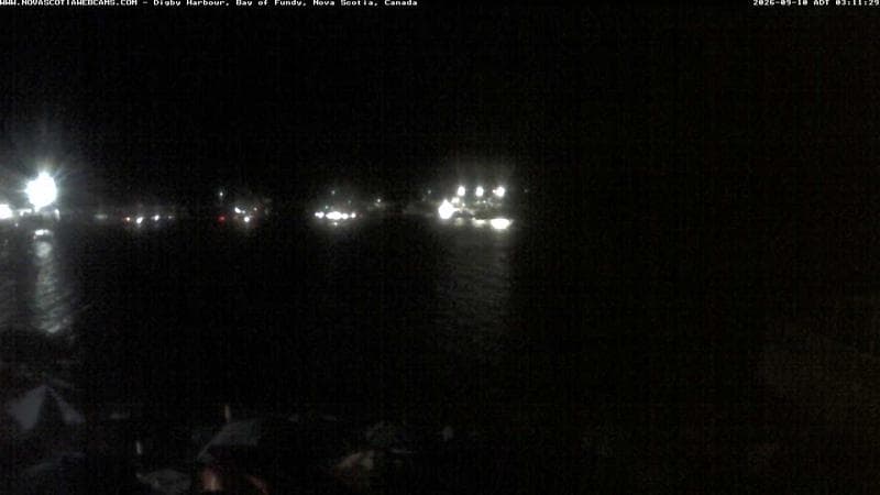 Digby Harbour