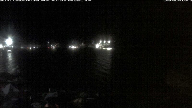 Digby Harbour
