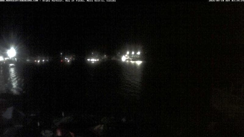 Digby Harbour