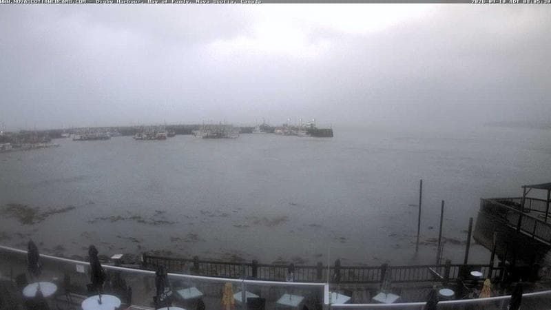 Digby Harbour