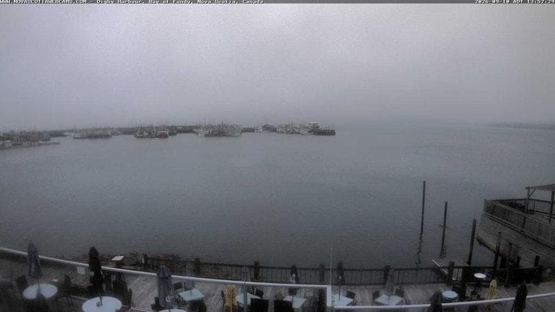 Digby Harbour