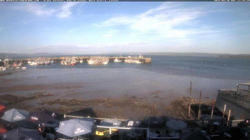 Digby Harbour