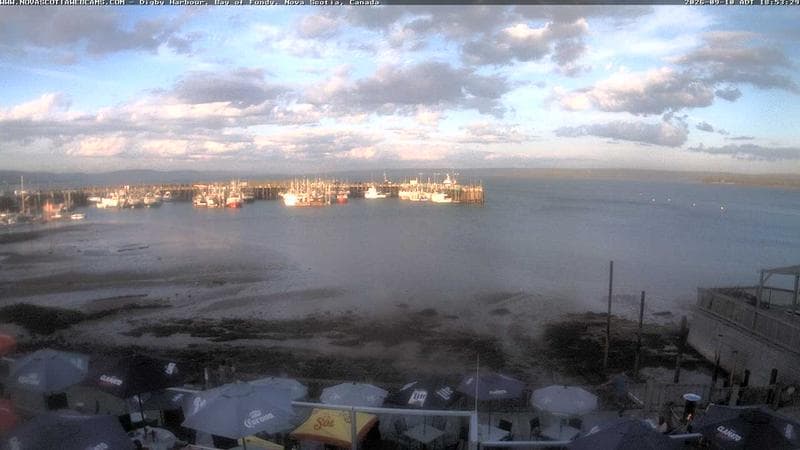Digby Harbour