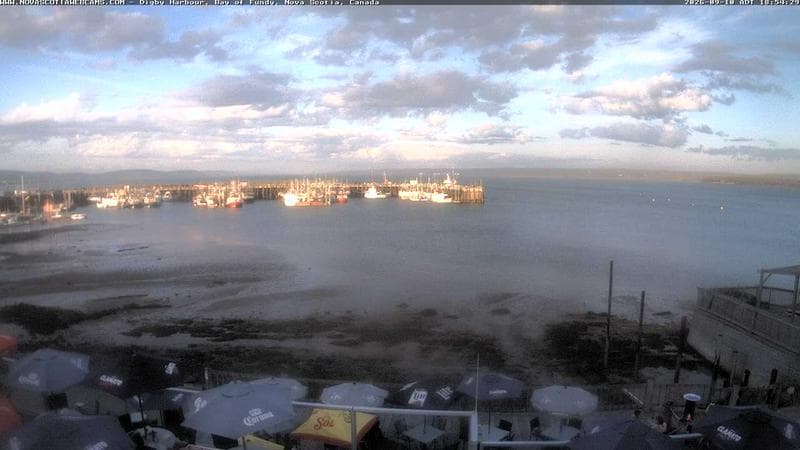 Digby Harbour