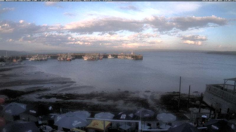 Digby Harbour