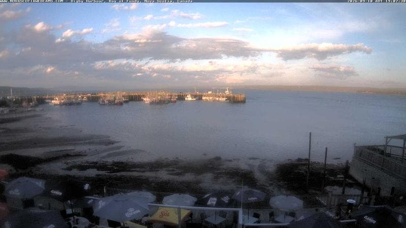 Digby Harbour