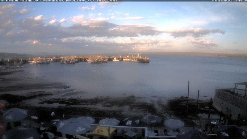 Digby Harbour