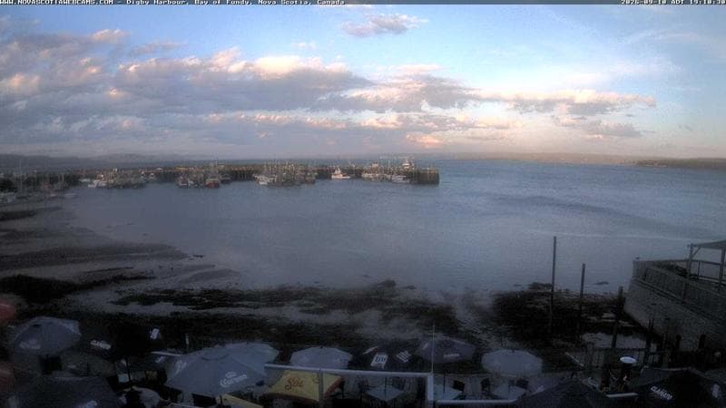 Digby Harbour