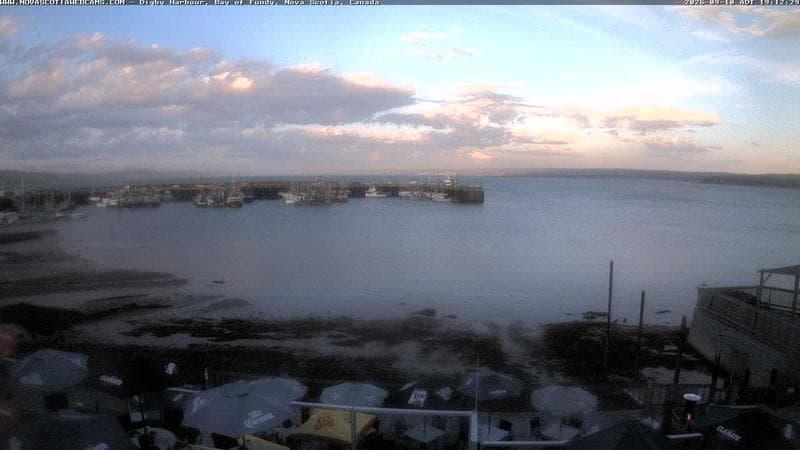 Digby Harbour