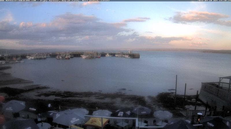 Digby Harbour
