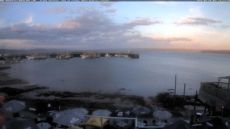 Digby Harbour