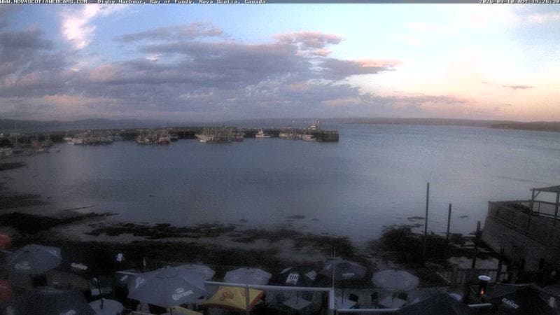 Digby Harbour