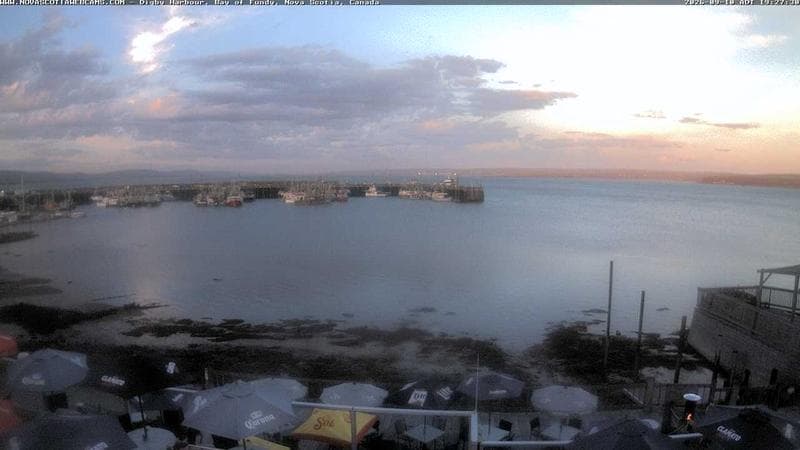 Digby Harbour