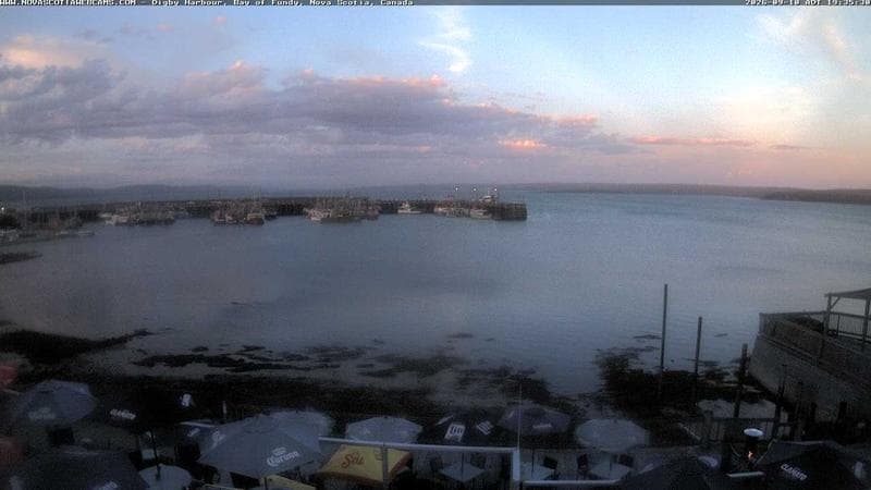 Digby Harbour