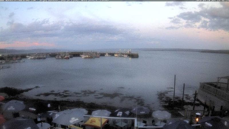 Digby Harbour