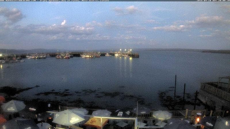 Digby Harbour