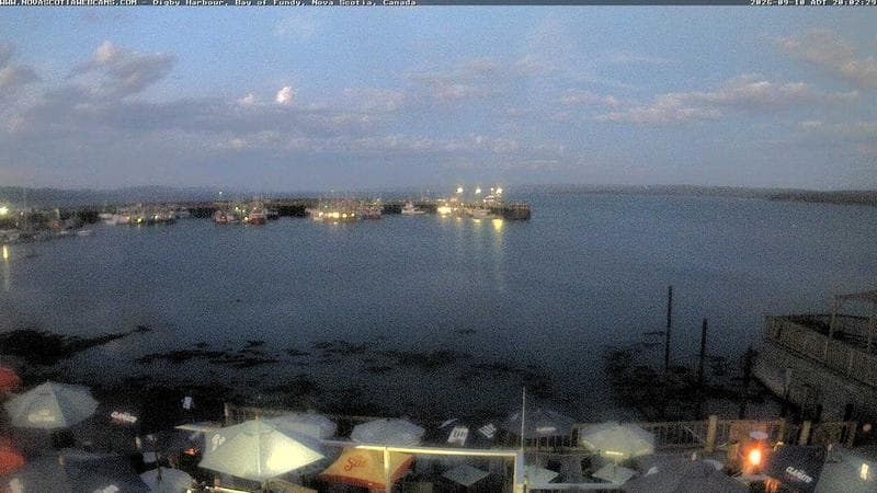 Digby Harbour