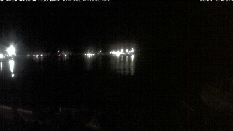 Digby Harbour
