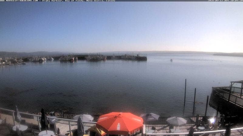 Digby Harbour