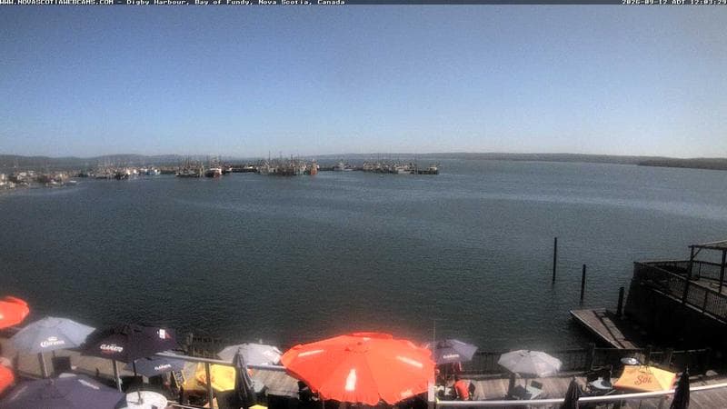 Digby Harbour