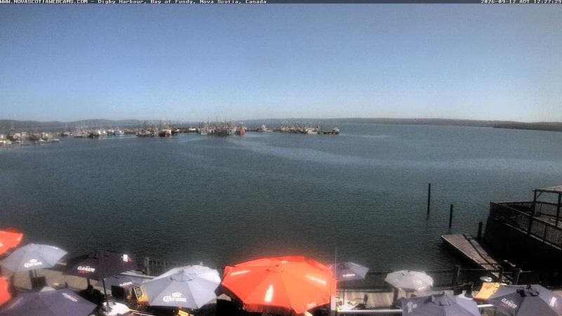 Digby Harbour