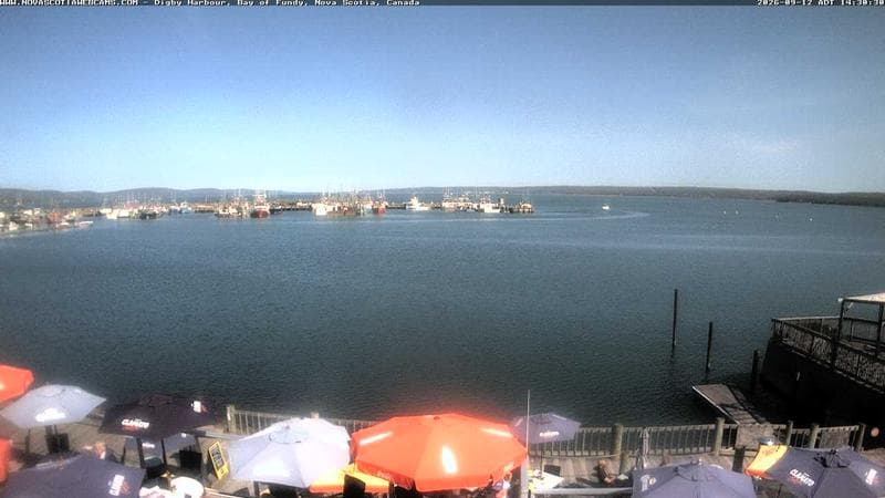 Digby Harbour