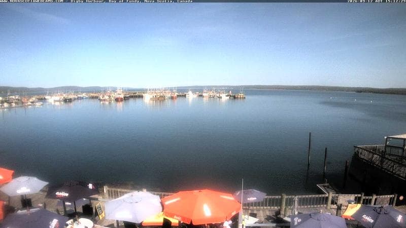Digby Harbour