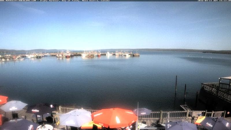 Digby Harbour