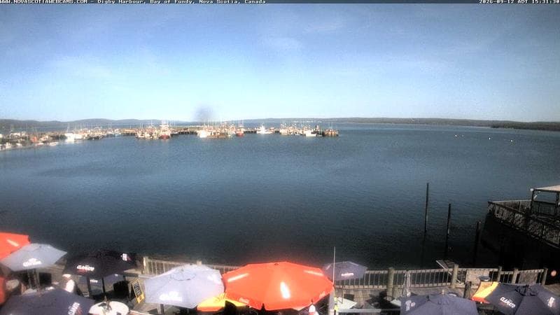 Digby Harbour