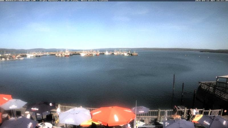 Digby Harbour