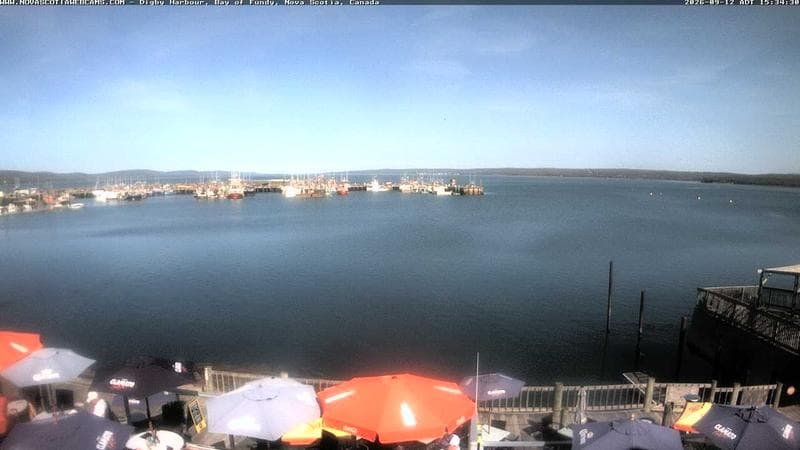 Digby Harbour