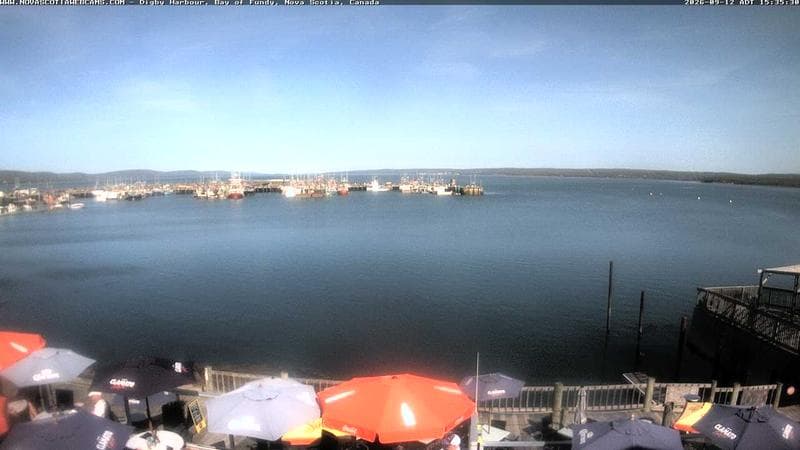 Digby Harbour