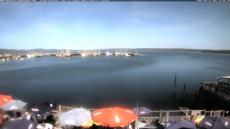 Digby Harbour