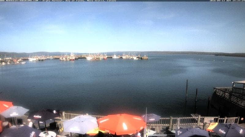 Digby Harbour