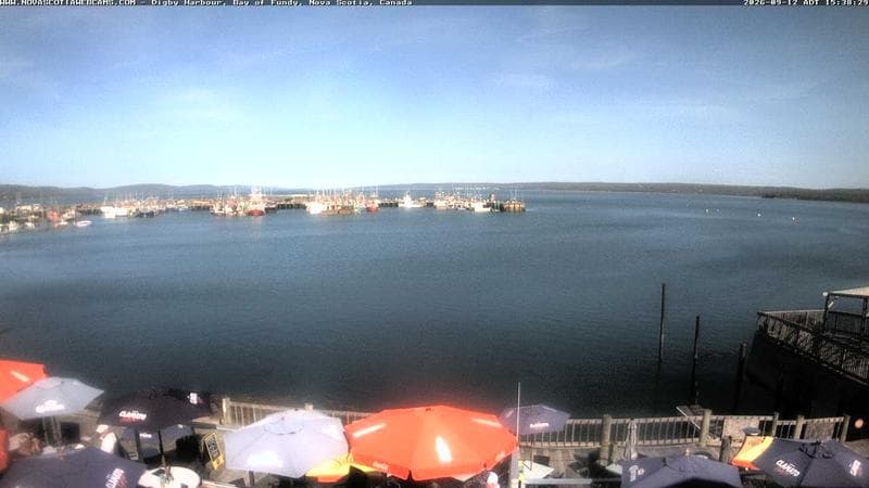 Digby Harbour