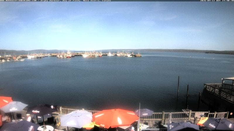 Digby Harbour
