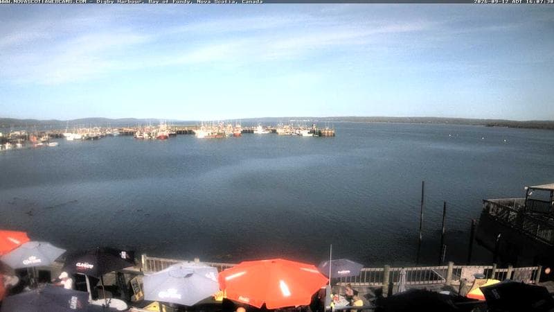 Digby Harbour