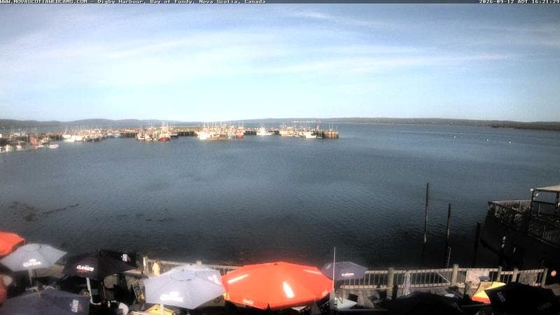 Digby Harbour