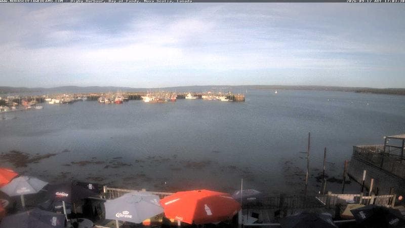 Digby Harbour