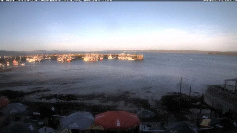 Digby Harbour