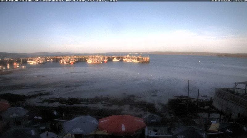 Digby Harbour