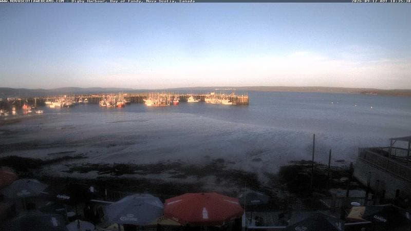 Digby Harbour
